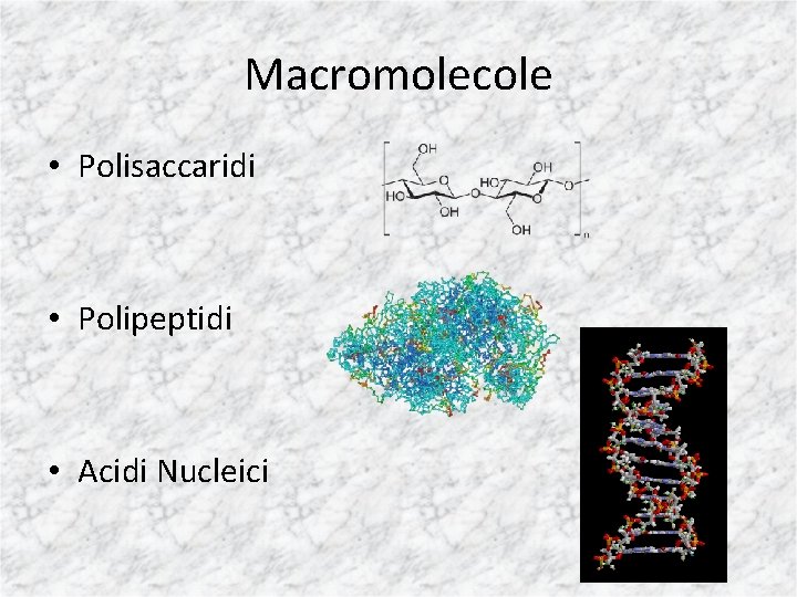 Macromolecole • Polisaccaridi • Polipeptidi • Acidi Nucleici 