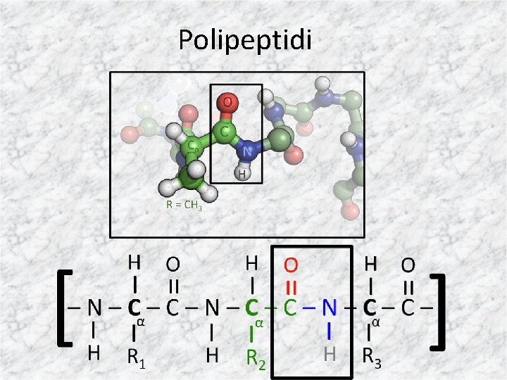 Polipeptidi 