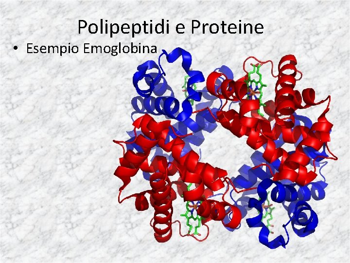 Polipeptidi e Proteine • Esempio Emoglobina 