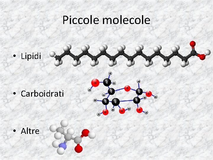 Piccole molecole • Lipidi • Carboidrati • Altre 