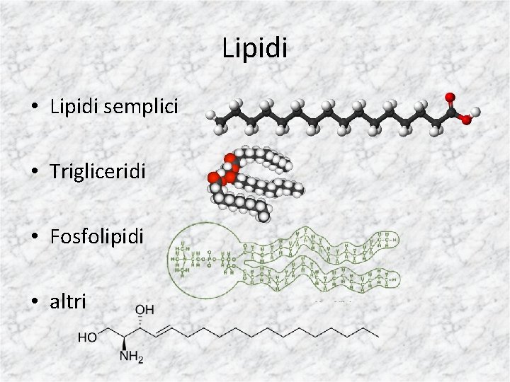 Lipidi • Lipidi semplici • Trigliceridi • Fosfolipidi • altri 