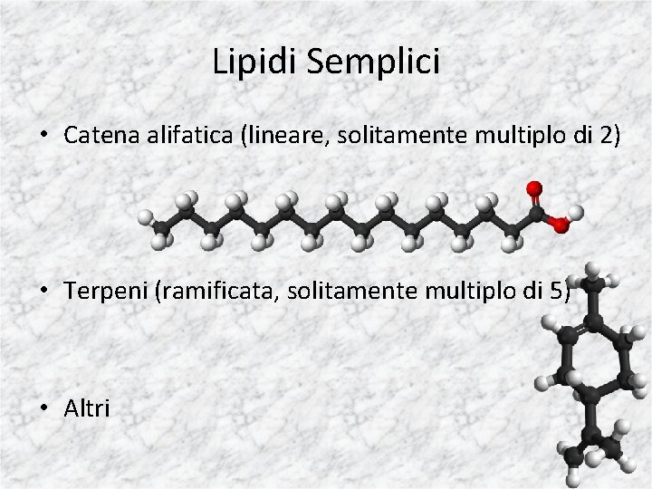 Lipidi Semplici • Catena alifatica (lineare, solitamente multiplo di 2) • Terpeni (ramificata, solitamente