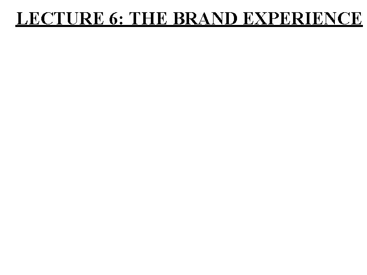 LECTURE 6: THE BRAND EXPERIENCE 