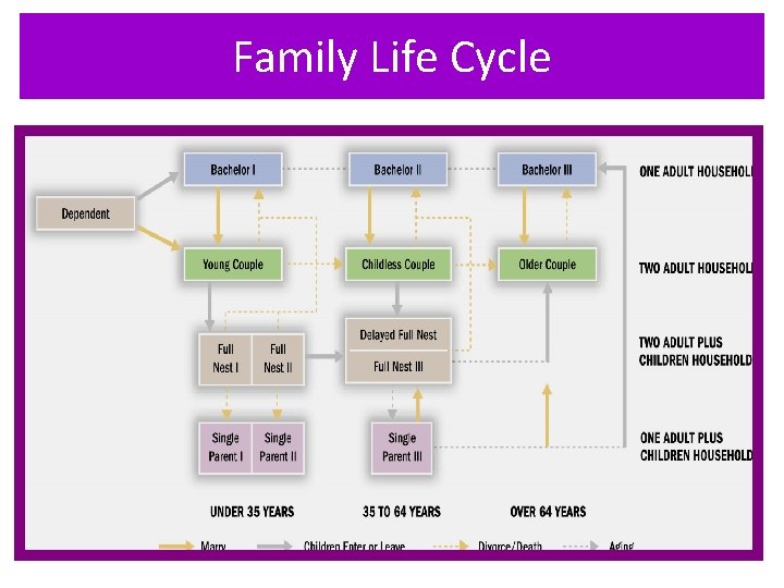 Family Life Cycle 