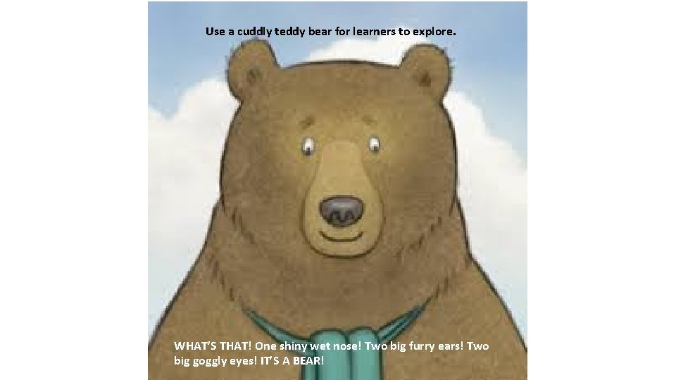 Use a cuddly teddy bear for learners to explore. WHAT’S THAT! One shiny wet