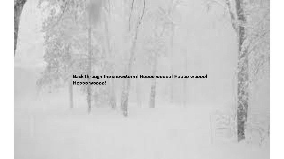 Back through the snowstorm! Hoooo woooo! 
