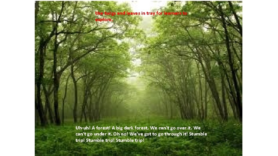 Use twigs and leaves in tray for learners to explore. Uh-uh! A forest! A