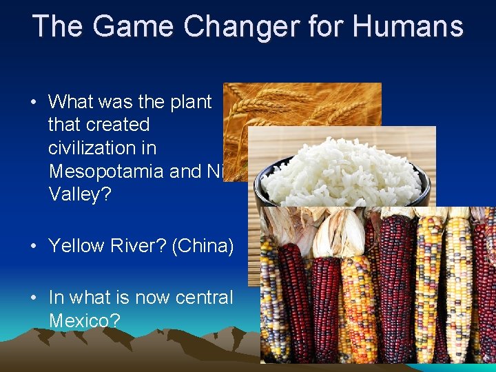 The Game Changer for Humans • What was the plant that created civilization in