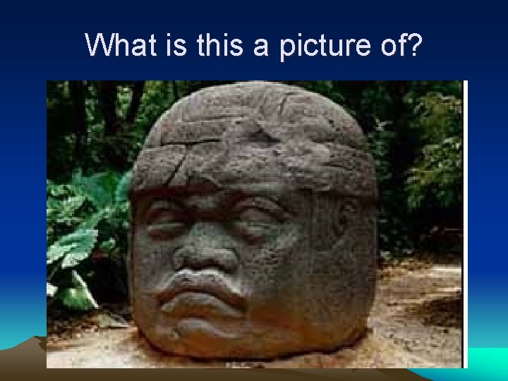 What is this a picture of? 