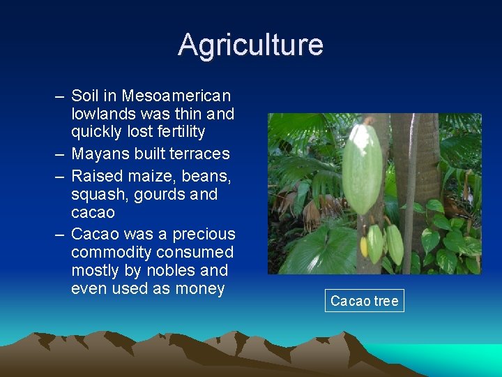 Agriculture – Soil in Mesoamerican lowlands was thin and quickly lost fertility – Mayans