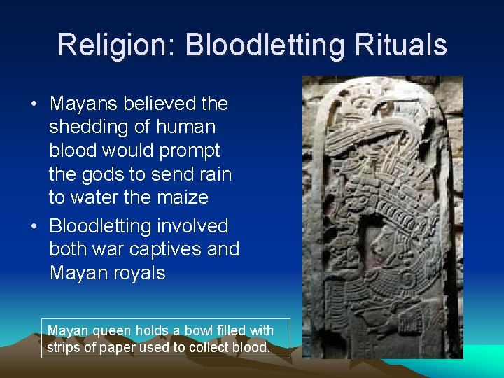 Religion: Bloodletting Rituals • Mayans believed the shedding of human blood would prompt the
