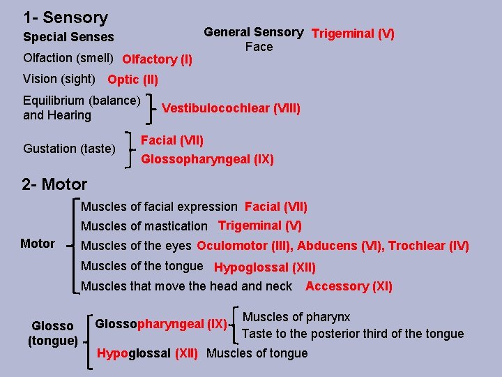 1 - Sensory Special Senses Olfaction (smell) Olfactory (I) General Sensory Trigeminal (V) Face