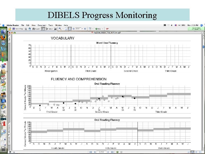 DIBELS Progress Monitoring 