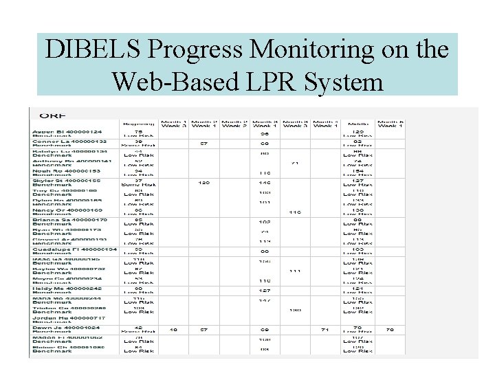 DIBELS Progress Monitoring on the Web-Based LPR System 