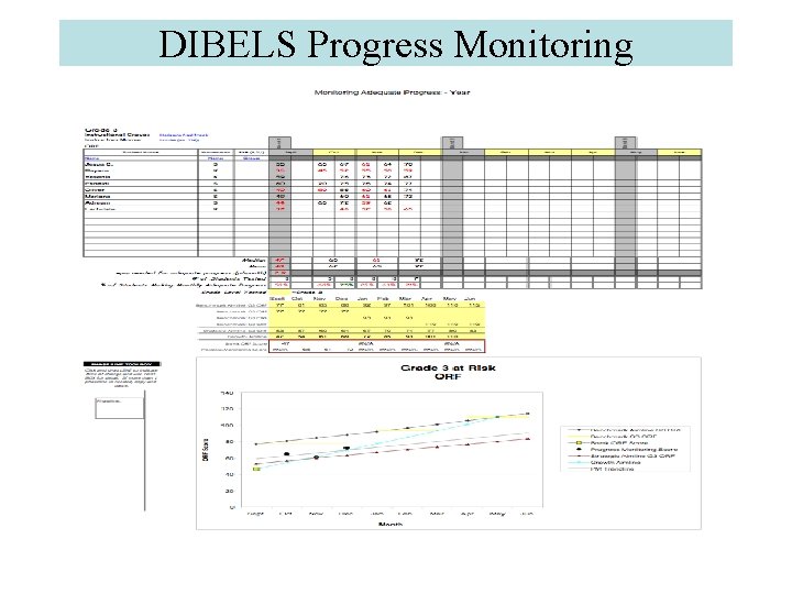 DIBELS Progress Monitoring 