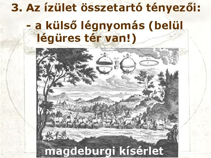 3. Az ízület összetartó tényezői: - a külső légnyomás (belül légüres tér van!) magdeburgi