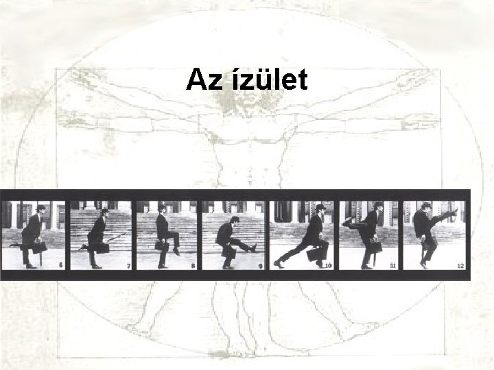 Az ízület 