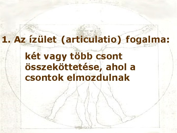 1. Az ízület (articulatio) fogalma: két vagy több csont összeköttetése, ahol a csontok elmozdulnak