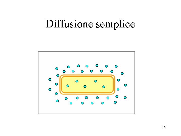 Diffusione semplice 18 