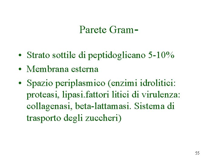 Parete Gram • Strato sottile di peptidoglicano 5 -10% • Membrana esterna • Spazio