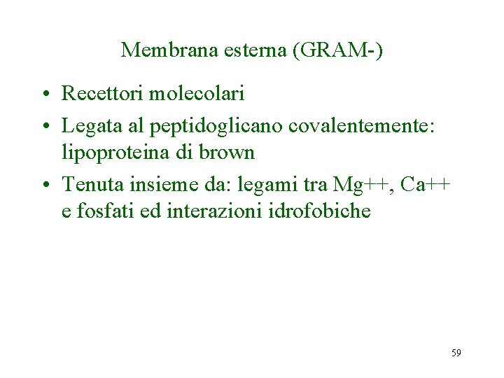 Membrana esterna (GRAM-) • Recettori molecolari • Legata al peptidoglicano covalentemente: lipoproteina di brown