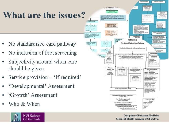 What are the issues? • No standardised care pathway • No inclusion of foot