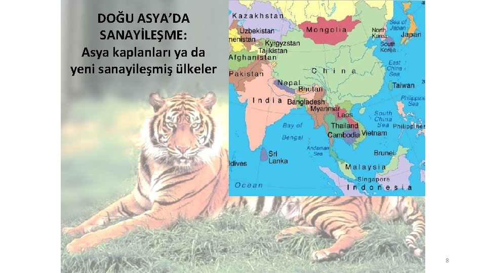 DOĞU ASYA’DA SANAYİLEŞME: Asya kaplanları ya da yeni sanayileşmiş ülkeler 8 