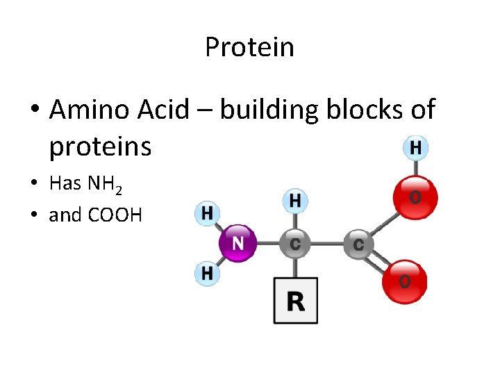 Protein • Amino Acid – building blocks of proteins • Has NH 2 • Protein • Amino Acid – building blocks of proteins • Has NH 2 •