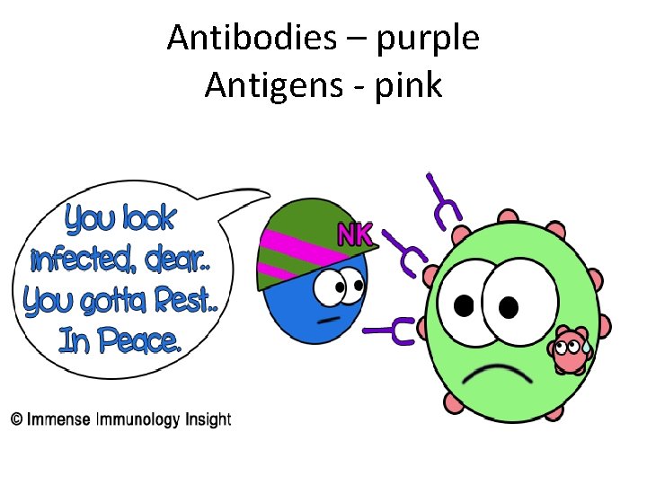 Antibodies – purple Antigens - pink 