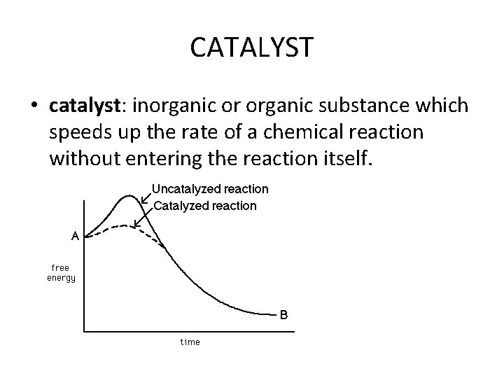 CATALYST • catalyst: inorganic or organic substance which speeds up the rate of a