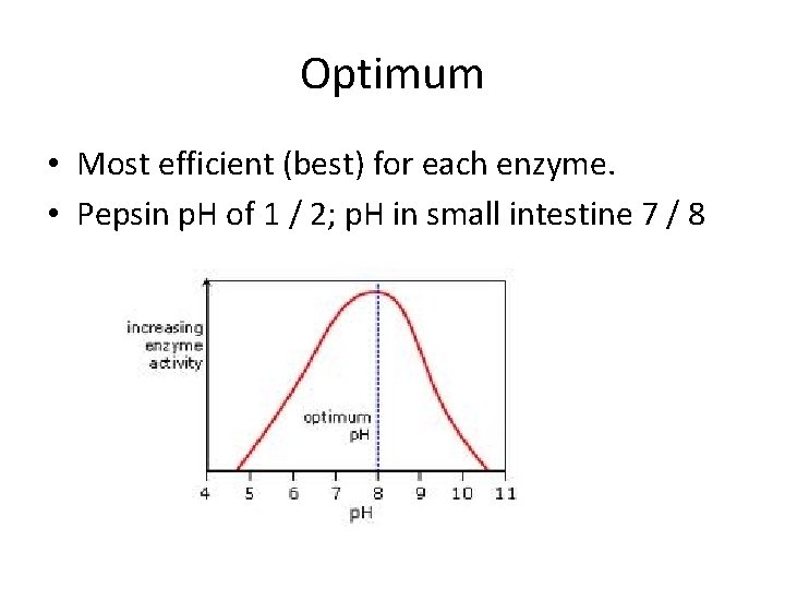 Optimum • Most efficient (best) for each enzyme. • Pepsin p. H of 1 Optimum • Most efficient (best) for each enzyme. • Pepsin p. H of 1