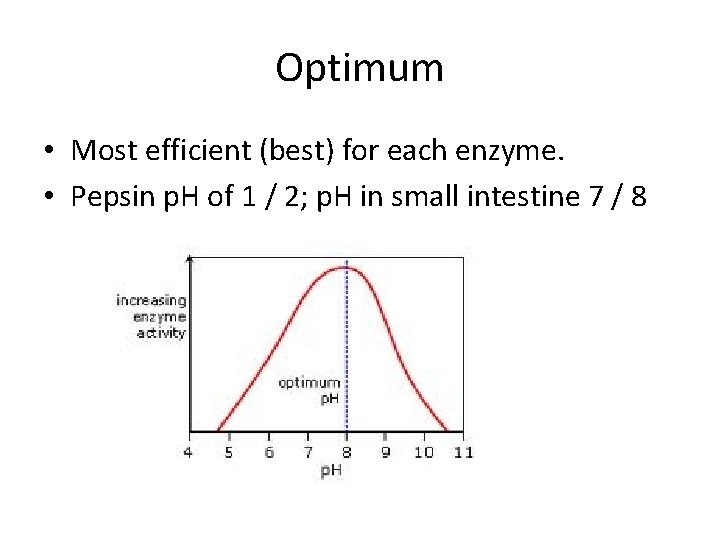 Optimum • Most efficient (best) for each enzyme. • Pepsin p. H of 1