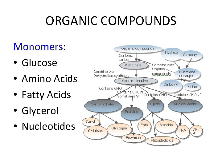 ORGANIC COMPOUNDS Monomers: • Glucose • Amino Acids • Fatty Acids • Glycerol • ORGANIC COMPOUNDS Monomers: • Glucose • Amino Acids • Fatty Acids • Glycerol •