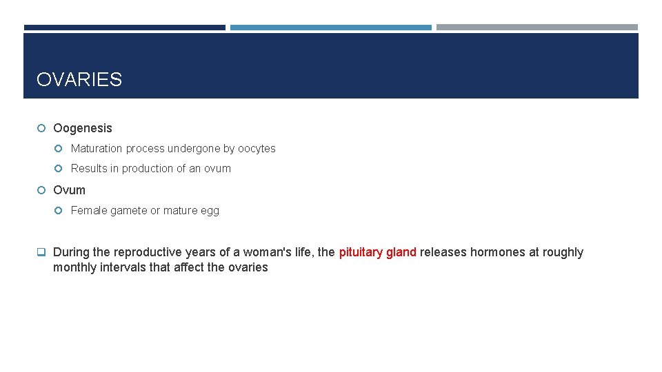 OVARIES Oogenesis Maturation process undergone by oocytes Results in production of an ovum Ovum