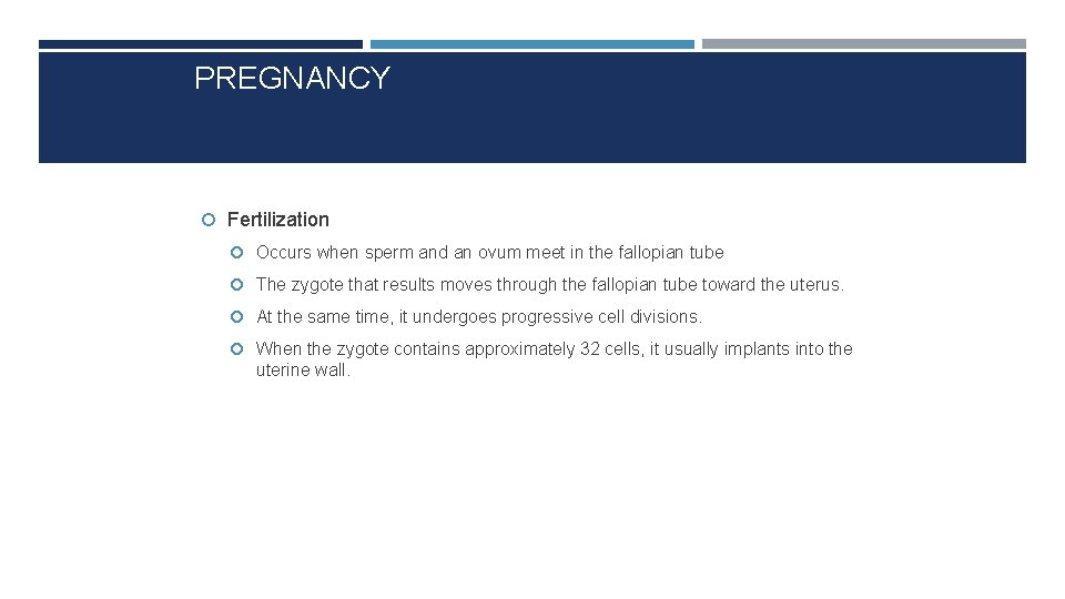 PREGNANCY Fertilization Occurs when sperm and an ovum meet in the fallopian tube The
