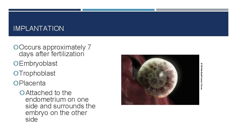 IMPLANTATION Occurs approximately 7 © 3 D 4 Medical/Science Source days after fertilization Embryoblast