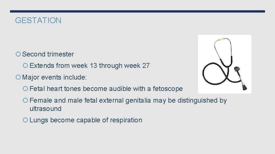 GESTATION Second trimester Extends from week 13 through week 27 Major events include: Fetal