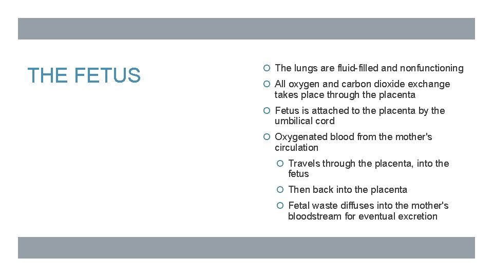 THE FETUS The lungs are fluid-filled and nonfunctioning All oxygen and carbon dioxide exchange