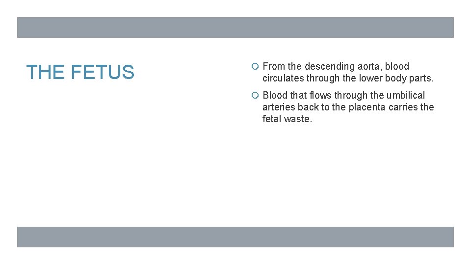 THE FETUS From the descending aorta, blood circulates through the lower body parts. Blood