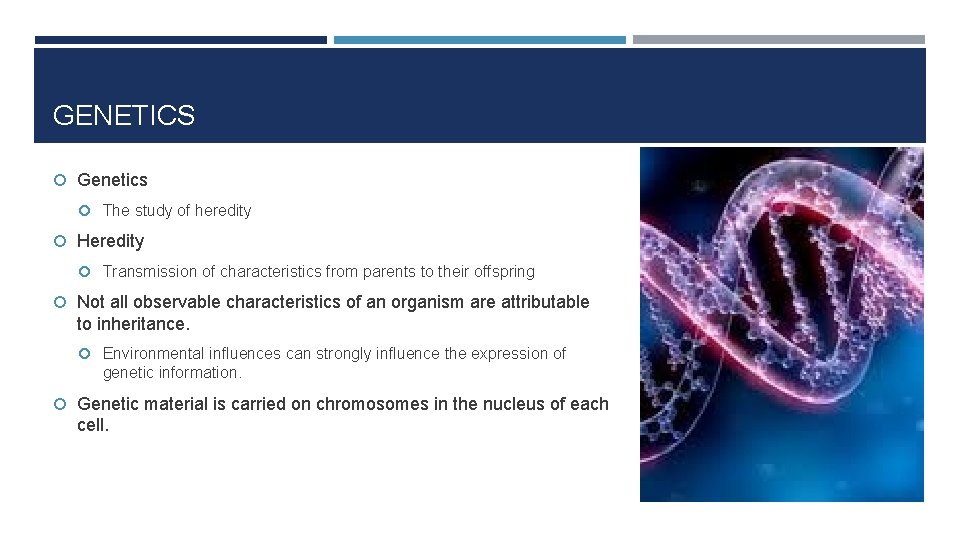 GENETICS Genetics The study of heredity Heredity Transmission of characteristics from parents to their