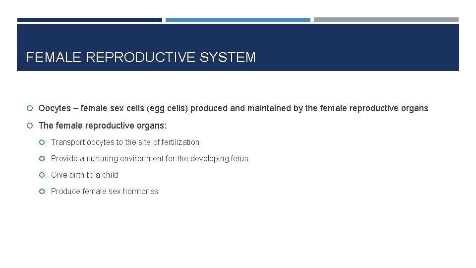 FEMALE REPRODUCTIVE SYSTEM Oocytes – female sex cells (egg cells) produced and maintained by