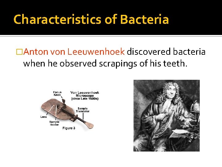 Characteristics of Bacteria �Anton von Leeuwenhoek discovered bacteria when he observed scrapings of his