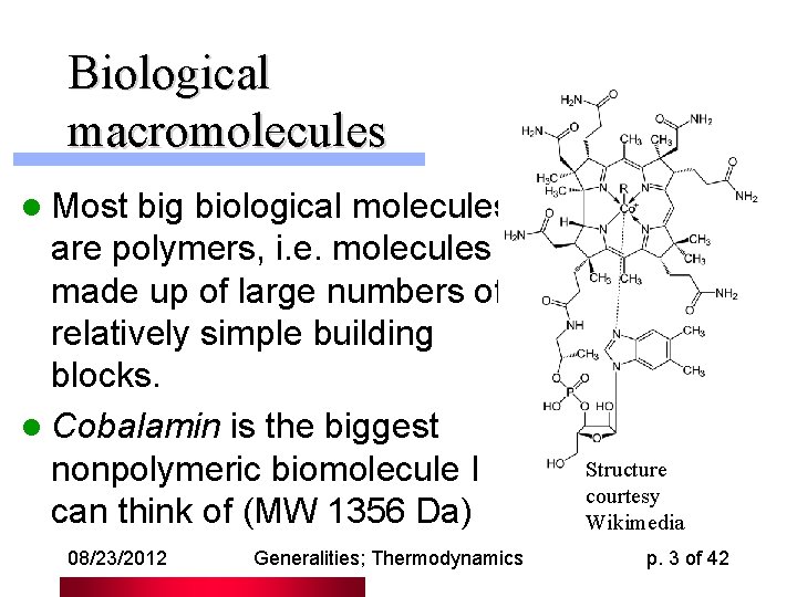 Biological macromolecules l Most big biological molecules are polymers, i. e. molecules made up