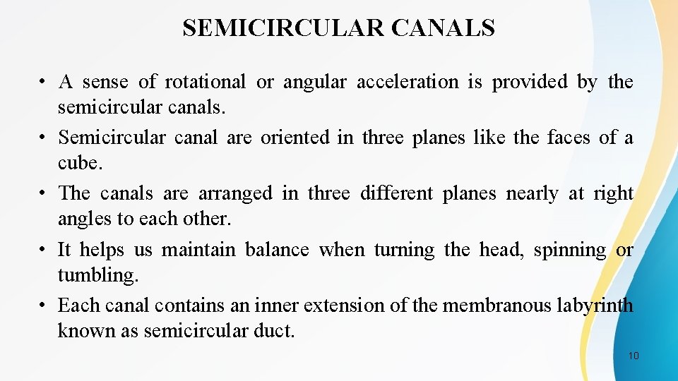 SEMICIRCULAR CANALS • A sense of rotational or angular acceleration is provided by the