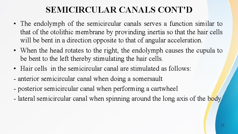 SEMICIRCULAR CANALS CONT'D • The endolymph of the semicircular canals serves a function similar