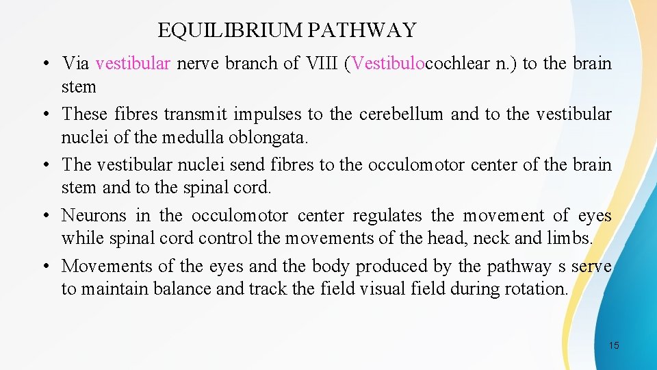 EQUILIBRIUM PATHWAY • Via vestibular nerve branch of VIII (Vestibulocochlear n. ) to the