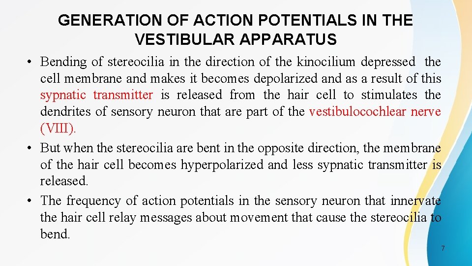 GENERATION OF ACTION POTENTIALS IN THE VESTIBULAR APPARATUS • Bending of stereocilia in the