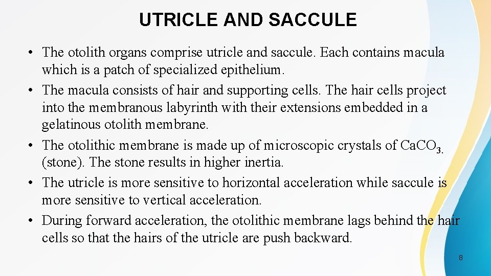 UTRICLE AND SACCULE • The otolith organs comprise utricle and saccule. Each contains macula