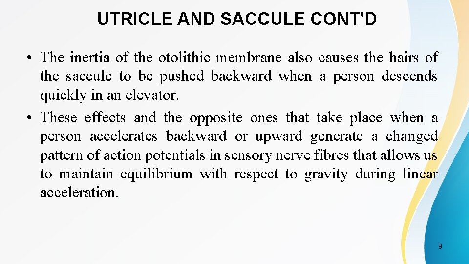 UTRICLE AND SACCULE CONT'D • The inertia of the otolithic membrane also causes the