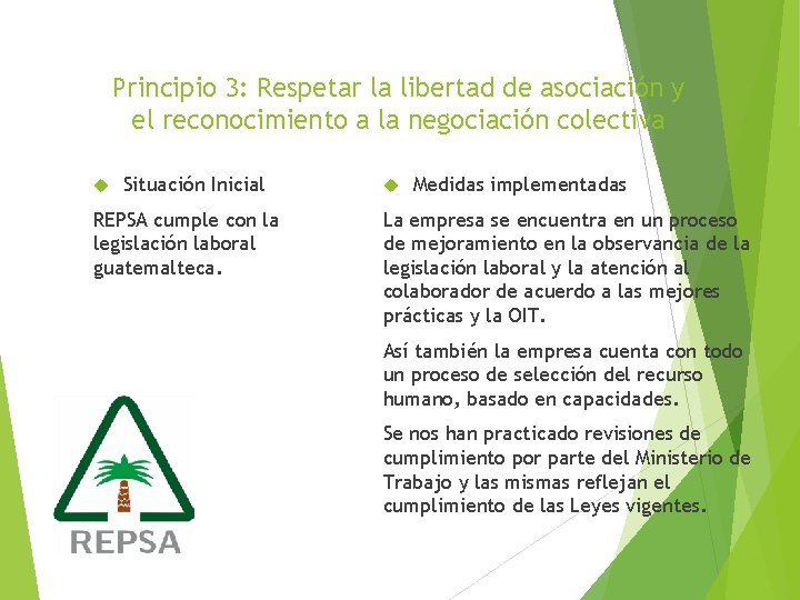 Principio 3: Respetar la libertad de asociación y el reconocimiento a la negociación colectiva